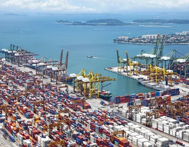 Miniatura: TSL po trudnym 2025 roku. Branża liczy na...